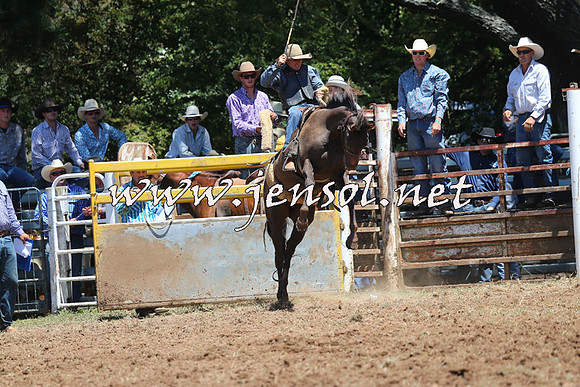 Taralga2015_3744