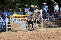Taralga2015_3743