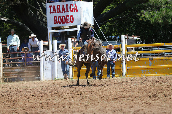 Taralga2015_4180