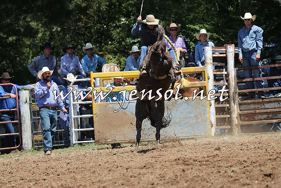 Taralga2015_3734