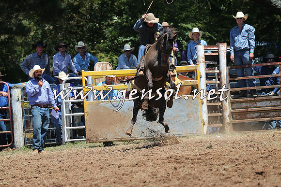 Taralga2015_3739