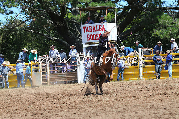 Taralga2015_4015
