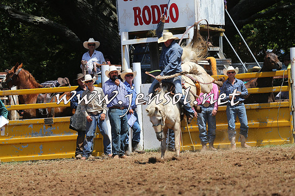 Taralga2015_3974