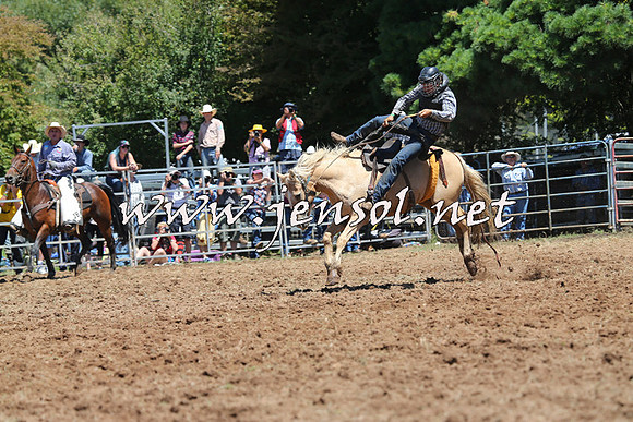 Taralga2015_4124