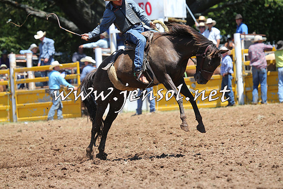 Taralga2015_3763