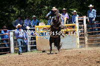 Taralga2015_3740