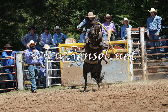 Taralga2015_3740
