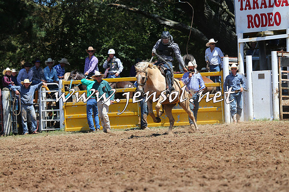 Taralga2015_4112
