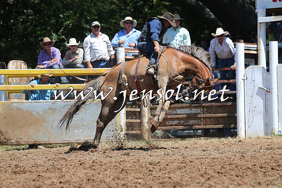 Taralga2015_4168
