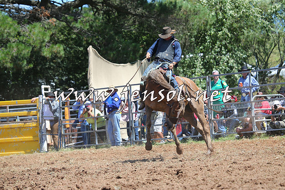 Taralga2015_4206