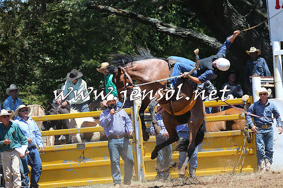 Taralga2015_3838