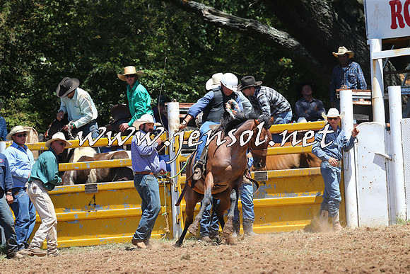 Taralga2015_3828