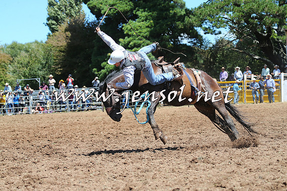 Taralga2015_4159