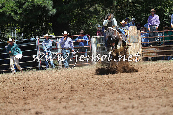 Taralga2015_3880