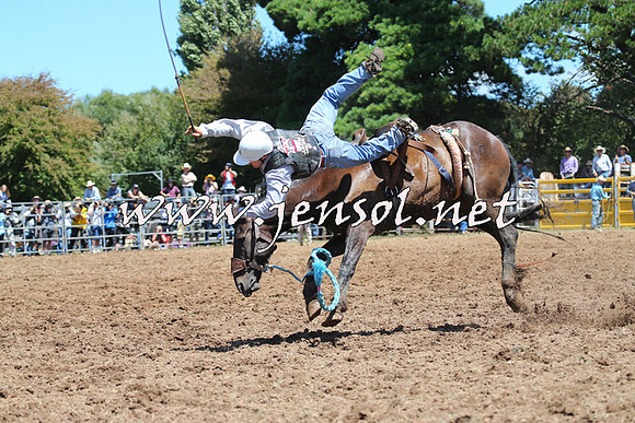 Taralga2015_4161