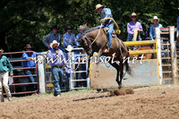 Taralga2015_3753