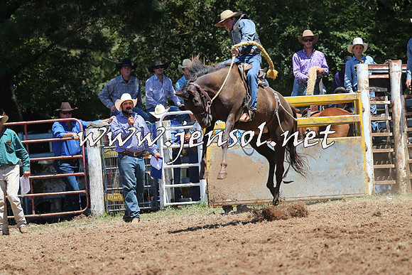 Taralga2015_3753