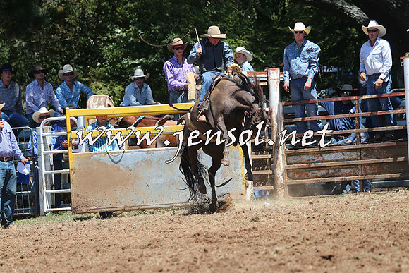 Taralga2015_3742
