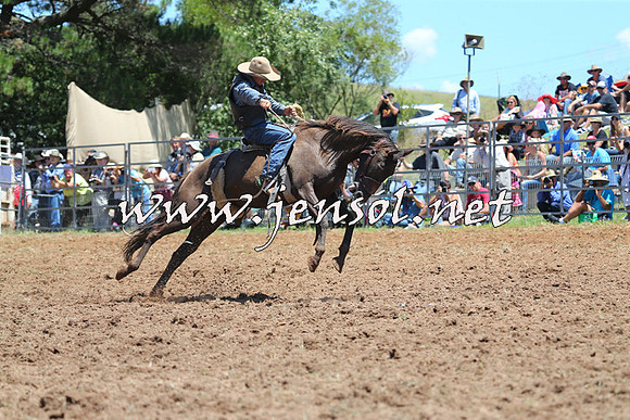 Taralga2015_3780