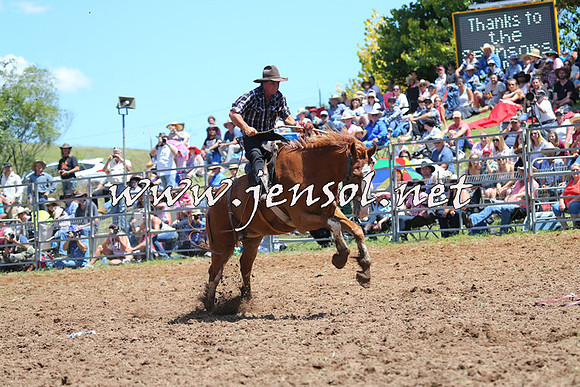 Taralga2015_4033