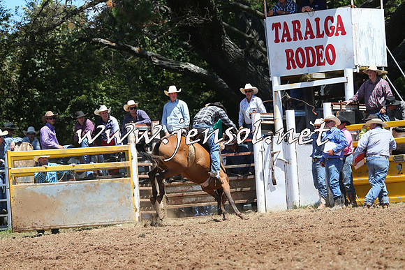 Taralga2015_3937