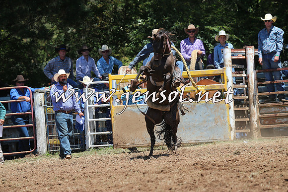 Taralga2015_3735