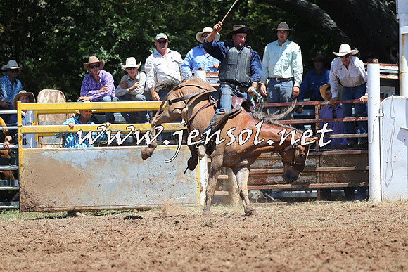 Taralga2015_4174
