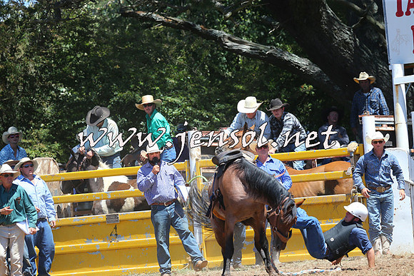 Taralga2015_3833