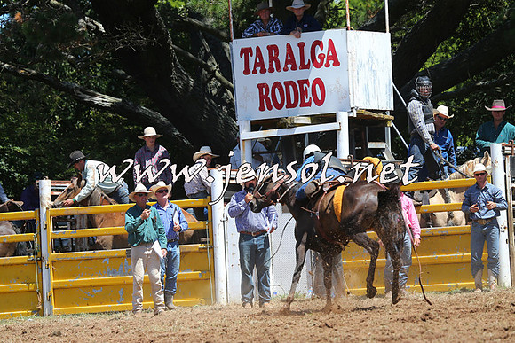 Taralga2015_4088