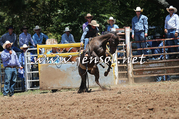 Taralga2015_3741