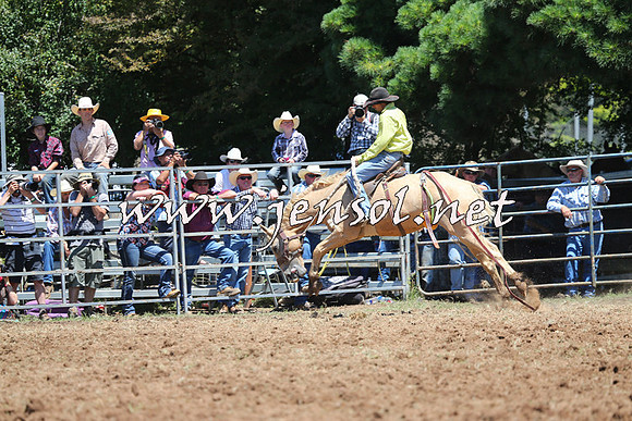 Taralga2015_3859