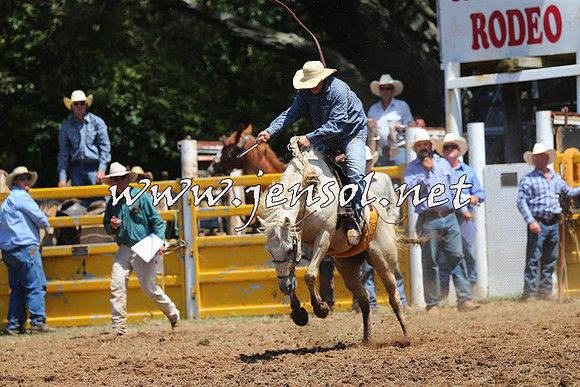 Taralga2015_3994