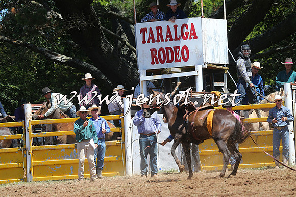 Taralga2015_4089