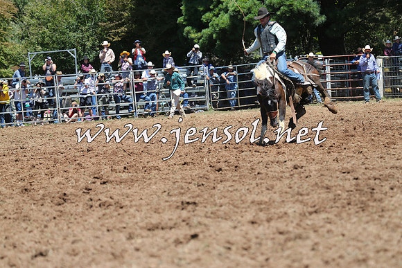 Taralga2015_3911