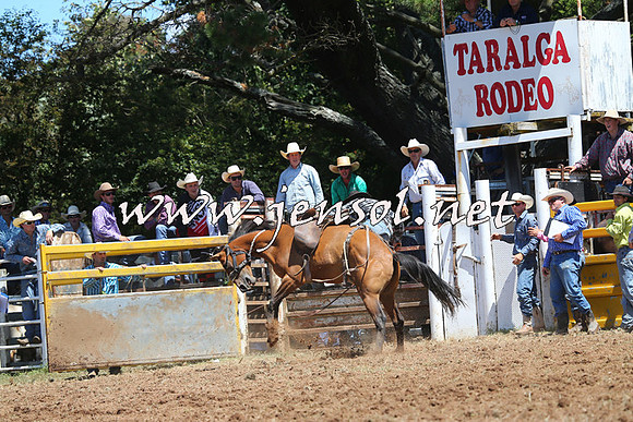 Taralga2015_3944