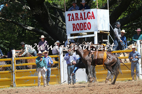 Taralga2015_4100