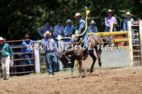 Taralga2015_3754