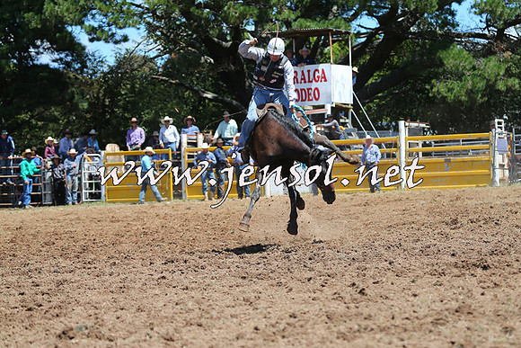 Taralga2015_4158