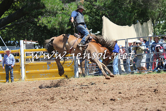 Taralga2015_4193