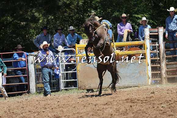 Taralga2015_3737