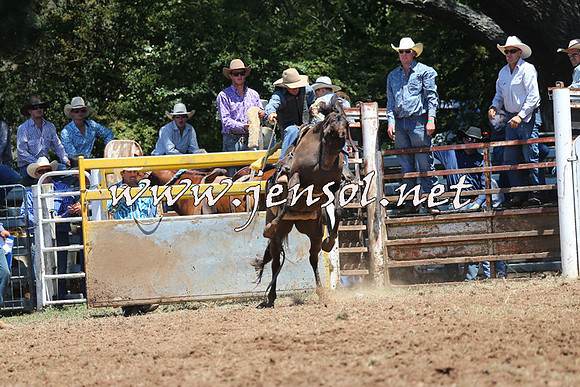 Taralga2015_3733