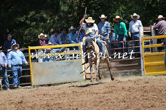 Taralga2015_4042