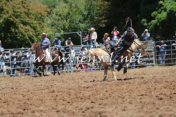 Taralga2015_4127
