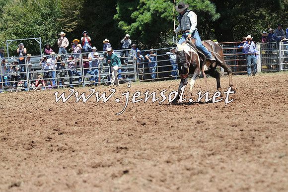 Taralga2015_3910