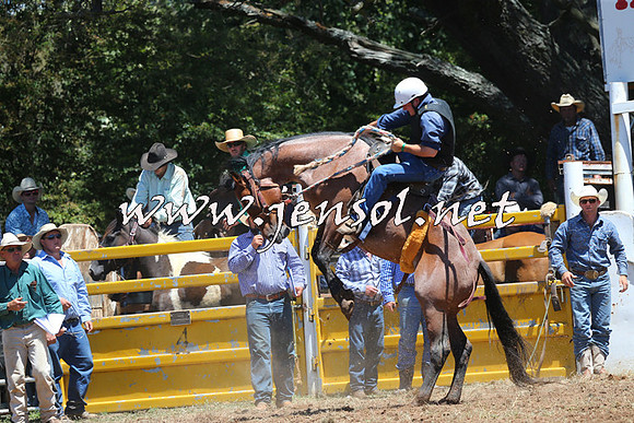 Taralga2015_3835