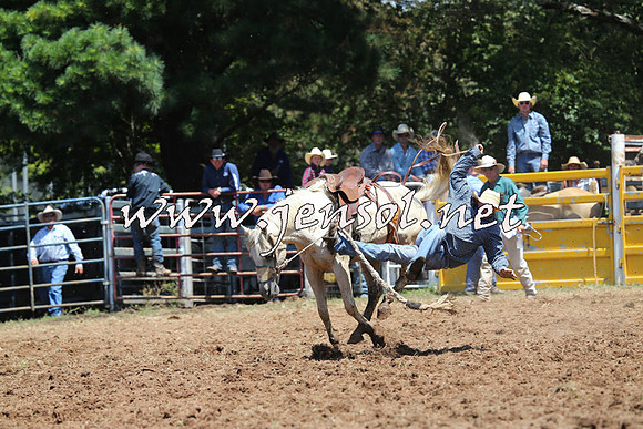Taralga2015_3985
