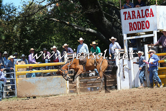 Taralga2015_3943