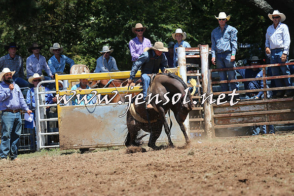 Taralga2015_3746