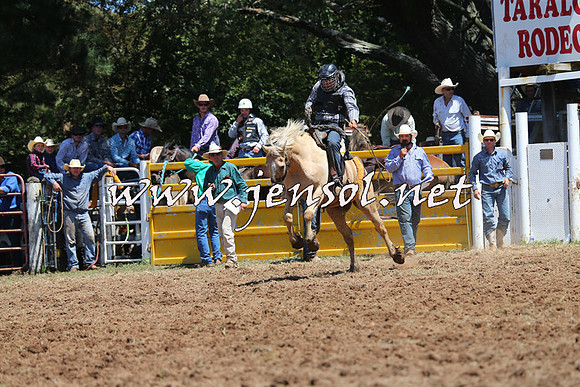 Taralga2015_4113
