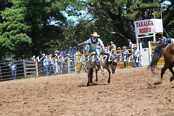 Taralga2015_4054